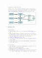 성인학습자에 대한 이해(평생교육개론), 성인학습자에 대한 이해, 참여 동기, 의사결정, 유형, 원리 5페이지