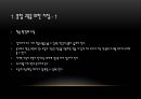 시각장애 25페이지