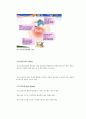 섬유근통증후군 4페이지