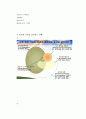 섬유근통증후군 10페이지