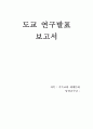 도교 발표연구 보고서 1페이지