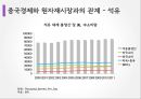 중국 경제론 10페이지