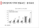 중국 경제론 39페이지