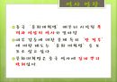 문화대혁명 14페이지