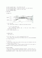 정자와_난자의_형성과정 4페이지