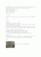 배지, 미생물키우기 4페이지