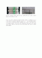 Diphenylamine을 이용한 DNA의 검출 및 정량분석 10 2페이지
