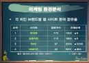 BBQ chicken - Best Smile 마케팅 환경분석 (거시적 환경, 미시적 환경, SWOT분석).PPT자료 21페이지