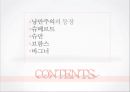 *독일 문화의 이해 - 독일 낭만파 음악 (낭만주의의 등장, 슈베르트, 슈만, 브람스, 바그너).PPT자료 2페이지