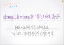 *독일 문화의 이해 - 독일 낭만파 음악 (낭만주의의 등장, 슈베르트, 슈만, 브람스, 바그너).PPT자료 56페이지