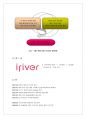 ㈜레인콤(아이리버/iriver)의 성공사례 (기업소개, CEO, 조직구성, 사업영역, 환경분석, SWOT, STP, 경쟁사 분석, 성과 및 성공전략, 위기 및 극복방안) 5페이지