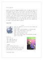 ㈜레인콤(아이리버/iriver)의 성공사례 (기업소개, CEO, 조직구성, 사업영역, 환경분석, SWOT, STP, 경쟁사 분석, 성과 및 성공전략, 위기 및 극복방안) 24페이지