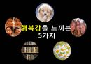 민들레영토,마케팅,브랜드,브랜드마케팅,기업,서비스마케팅,글로벌,경영,시장,사례,swot,stp,4p 24페이지