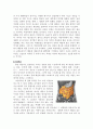 [사회과학] 비만  9페이지