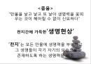 [유학의 이해] 유학의 의미와 유가의 이해 (유학은 종교가 문학인가).PPT자료 38페이지