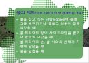 [플래그풋볼] 플래그풋볼의 게임 규칙, 게임 역사, 게임 방법, 전술의 이해,  플래그풋볼.ppt 13페이지