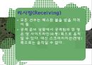 [플래그풋볼] 플래그풋볼의 게임 규칙, 게임 역사, 게임 방법, 전술의 이해,  플래그풋볼.ppt 15페이지