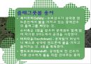 [플래그풋볼] 플래그풋볼의 게임 규칙, 게임 역사, 게임 방법, 전술의 이해,  플래그풋볼.ppt 18페이지