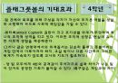 [플래그풋볼] 플래그풋볼의 게임 규칙, 게임 역사, 게임 방법, 전술의 이해,  플래그풋볼.ppt 27페이지