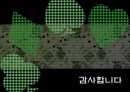 [플래그풋볼] 플래그풋볼의 게임 규칙, 게임 역사, 게임 방법, 전술의 이해,  플래그풋볼.ppt 28페이지