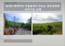 [축제를 통해 살펴본 프랑스 관광 명소] 파리,오를레앙,보르도,생말로,랭스,아미앵,알자스,니스,망통.PPT자료 37페이지