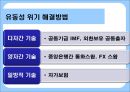 [금융위기와 외화유동성 확보] 금융 위기시 외화유동성 확보 방안과 향후 전망.PPT자료 5페이지