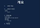 [종교분쟁] 북아일랜드의 종교분쟁의 원인, 배경, 종교분쟁 현황, 종교분쟁의 전망.PPT자료 2페이지