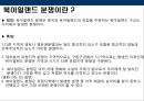 [종교분쟁] 북아일랜드의 종교분쟁의 원인, 배경, 종교분쟁 현황, 종교분쟁의 전망.PPT자료 4페이지