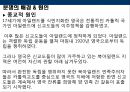 [종교분쟁] 북아일랜드의 종교분쟁의 원인, 배경, 종교분쟁 현황, 종교분쟁의 전망.PPT자료 12페이지