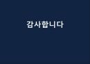 [종교분쟁] 북아일랜드의 종교분쟁의 원인, 배경, 종교분쟁 현황, 종교분쟁의 전망.PPT자료 24페이지