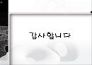 메신저(messenger) (메신저 종류, 네이트온).PPT자료 25페이지