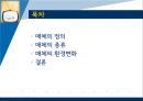 매체,미디어,인터넷,마케팅,브랜드,브랜드마케팅,기업,서비스마케팅,글로벌,경영,시장,사례,swot 2페이지