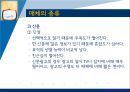 매체,미디어,인터넷,마케팅,브랜드,브랜드마케팅,기업,서비스마케팅,글로벌,경영,시장,사례,swot 15페이지