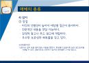 매체,미디어,인터넷,마케팅,브랜드,브랜드마케팅,기업,서비스마케팅,글로벌,경영,시장,사례,swot 20페이지