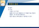매체,미디어,인터넷,마케팅,브랜드,브랜드마케팅,기업,서비스마케팅,글로벌,경영,시장,사례,swot 21페이지