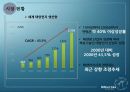 미리넷솔라 (Millinet Solar Solar Energy & Business) (태양열,태양열에너지,시장상황,해외시장 진입전략,SWOT분석).PPT자료 8페이지