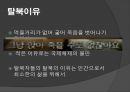 탈북과 북송 (탈북 마음가짐, 이유, 목표, 탈북 가능성, 탈북자 적응문제, 체포 상황, 중국의 북송).PPT자료 6페이지