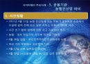 인터넷 발달의 그림자 사이버 테러 (개요, 개념 및 유형, 주요 사례).PPT자료 13페이지