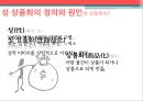 성 상품화의 사회학적 분석 (FEMALE SEXUAL commercialization).PPT자료 3페이지