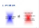 소비자분석,참이슬,처음처럼,마케팅전략 (프로모션 선호도, STP 분석, 4C 분석 , 프로모션 전략 수립).PPT자료 5페이지