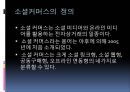 국내 소셜커머스 시장의 소셜 미디어 활용방안에 관한 연구 (소셜 커머스의 정의, 형태, 시장 현황, 시장의 문제점, 사례 소개, 시장의 발전 방향).PPT자료 3페이지