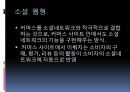 국내 소셜커머스 시장의 소셜 미디어 활용방안에 관한 연구 (소셜 커머스의 정의, 형태, 시장 현황, 시장의 문제점, 사례 소개, 시장의 발전 방향).PPT자료 6페이지