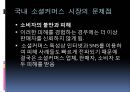 국내 소셜커머스 시장의 소셜 미디어 활용방안에 관한 연구 (소셜 커머스의 정의, 형태, 시장 현황, 시장의 문제점, 사례 소개, 시장의 발전 방향).PPT자료 16페이지