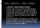 국내 소셜커머스 시장의 소셜 미디어 활용방안에 관한 연구 (소셜 커머스의 정의, 형태, 시장 현황, 시장의 문제점, 사례 소개, 시장의 발전 방향).PPT자료 17페이지