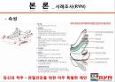 수단-목표 연쇄이론.PPT자료 19페이지