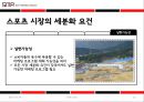 시장세분화 (Segmentation) (시장 세분화의 절차, 스포츠시장 세분화 요건, 기준변수, 사례).PPT자료 12페이지