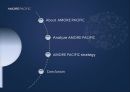 AMORE PACIFIC (아모레퍼시픽) (화장품시장,성공사례,Analyze,SWOT,4P,경쟁업체분석).PPT자료 2페이지