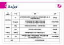 LG(엘지) It’s time to be smart! LG U+를 위한 PR프로그램 제안 (스마프폰,lte,PR Strategy,CSR).PPT자료 23페이지