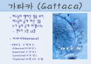 유전자 조작과 종교.PPT자료 5페이지
