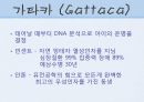 유전자 조작과 종교.PPT자료 6페이지